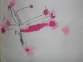 DSCF7531-2