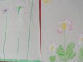 DSCF7465-2