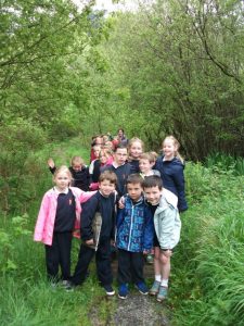 Bog Meadow Hike